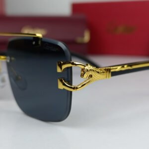 Cartier Sunglasses Iconic Glossy CRT74