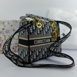 Dior handbag in Pakistan